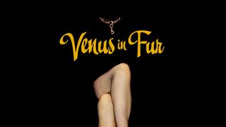 Venus in Fur