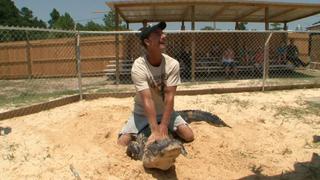 Gator Girl Smackdown Gator Girl Smackdown