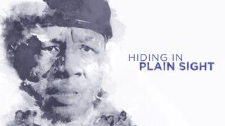 Hiding in Plain Sight
