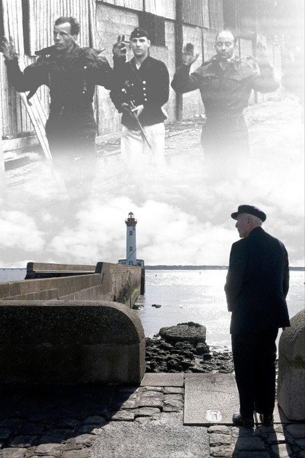 Turned Towards the Sun