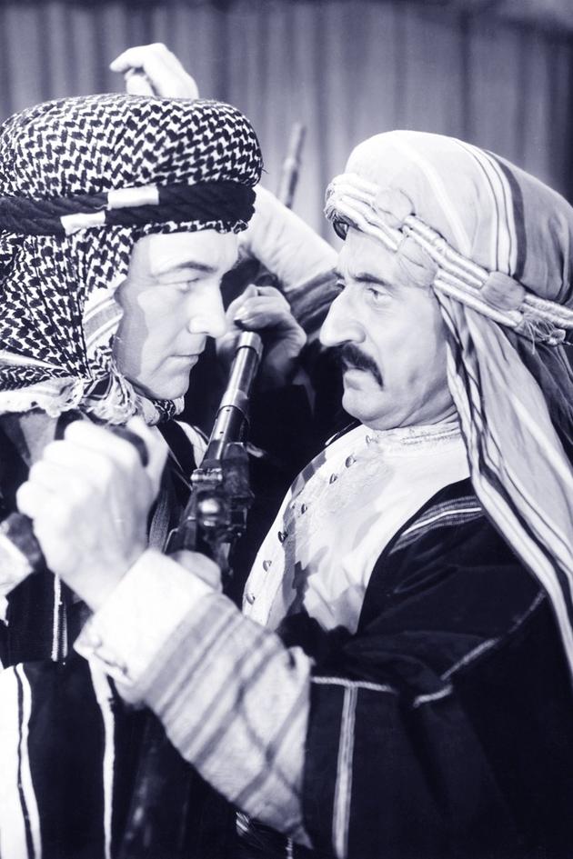 Outlaws of the Desert