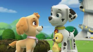 Pup Pup Goose; Pup Pup and Away Pup Pup Goose; Pup Pup and Away