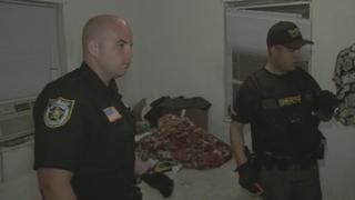 Cops Reloaded