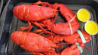 Love for Lobsters in Maine