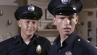 Reed, the Dicks Have Their Job and We Have Ours Reed, the Dicks Have Their Job and We Have Ours