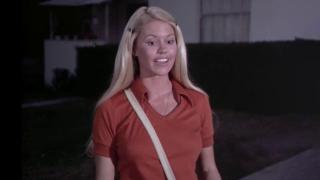 Lady's Night Lady's Night