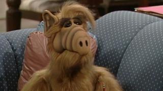 ALF