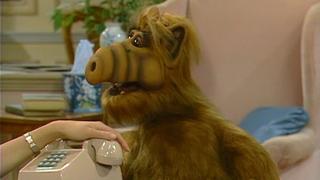 ALF