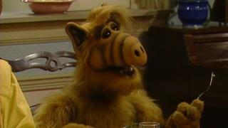 ALF