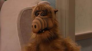 ALF