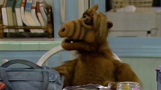 Wedding Bell Blues Wedding Bell Blues