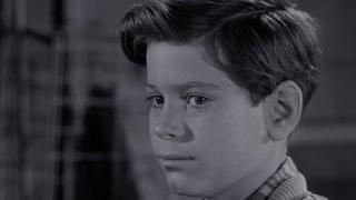 To Catch a Butterfly