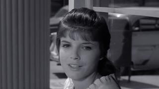 The Dividing Wall The Dividing Wall