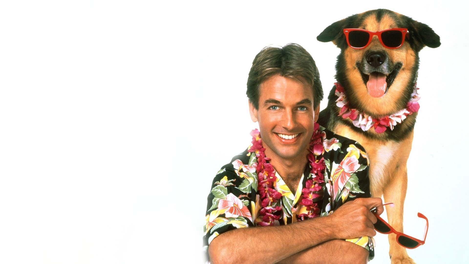 Prime Video: Summer School, image size:1920x1080