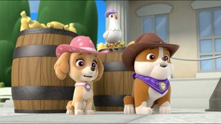 Pups Save a Hoedown; Pups Save Alex Pups Save a Hoedown; Pups Save Alex