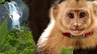 Amazonia