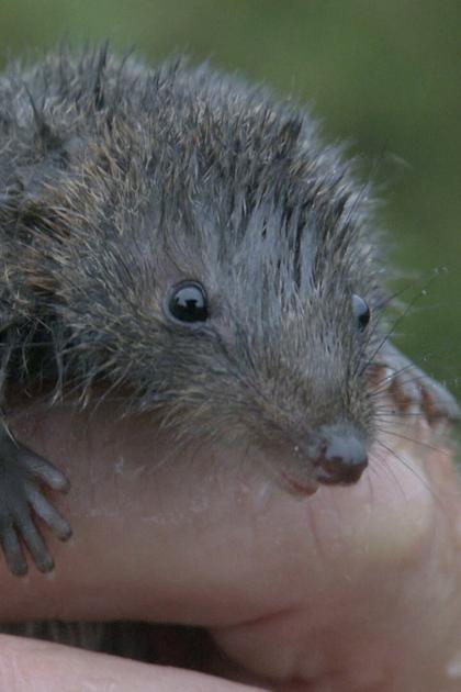 Australia's Wild Places