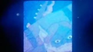 Window in Time Window in Time