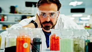 The Lost Treasure of the Templars