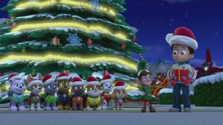 Pups Save Christmas