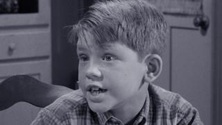 The Andy Griffith Show