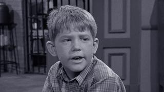 Andy and Opie's Pal