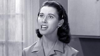 Ellie for Council Ellie for Council