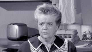 Aunt Bee's Invisible Beau Aunt Bee's Invisible Beau