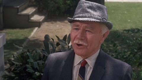 Aunt Bee, the Swinger