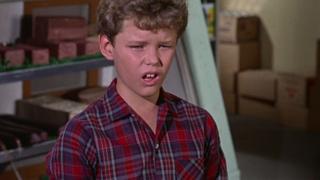 The Andy Griffith Show