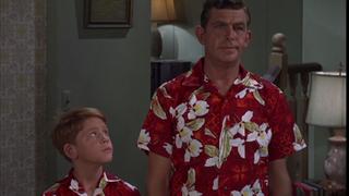 The Andy Griffith Show