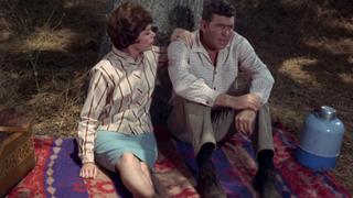 The Andy Griffith Show