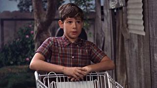 The Andy Griffith Show