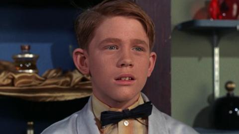 Opie's Drugstore Job