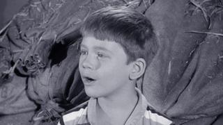 The Andy Griffith Show