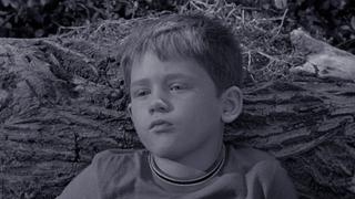 The Andy Griffith Show