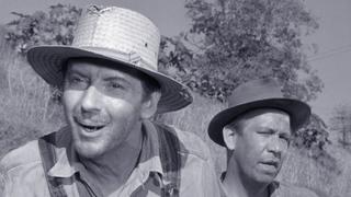 Lawman Barney Lawman Barney