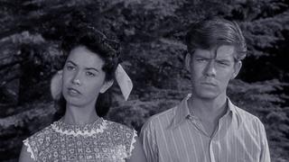 A Feud Is a Feud A Feud Is a Feud