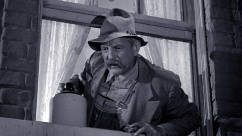 The Darlings Are Coming