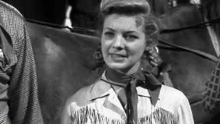 The Dude Stagecoach The Dude Stagecoach