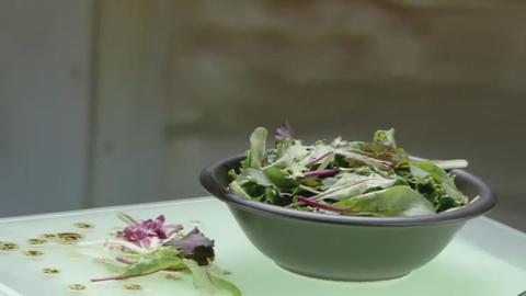 Indy Steering Wheels; Mixed Salad; Wind Turbines