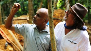 Sapphire and Moonstone: Sri Lanka Sapphire and Moonstone: Sri Lanka