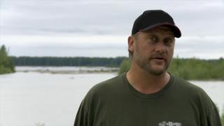 Jaws, Claws, and Beaver Fever