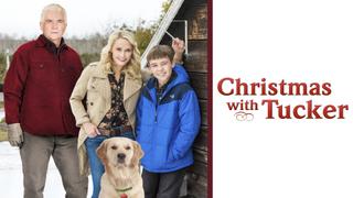 Christmas With Tucker