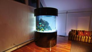 Tanked