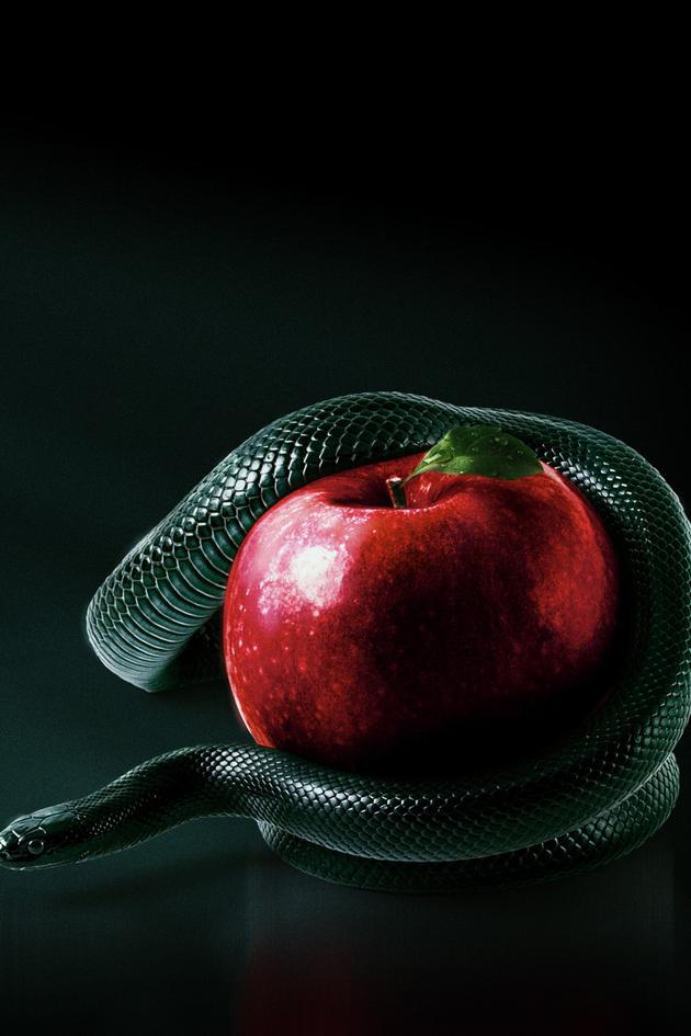 Bible Secrets Revealed