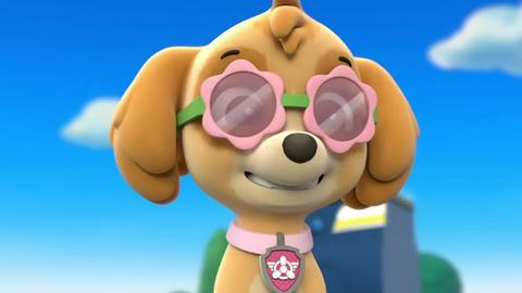 Pups Save a Pool Day; Circus Pup-Formers