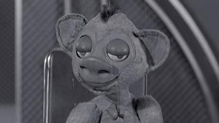 Dangerous Cargo Dangerous Cargo