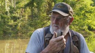 Swamp Shiners Swamp Shiners