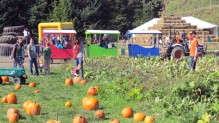 Little People, Big World